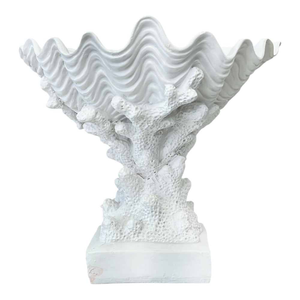 Adorno Concha Blanca