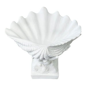 Adorno Concha Blanca