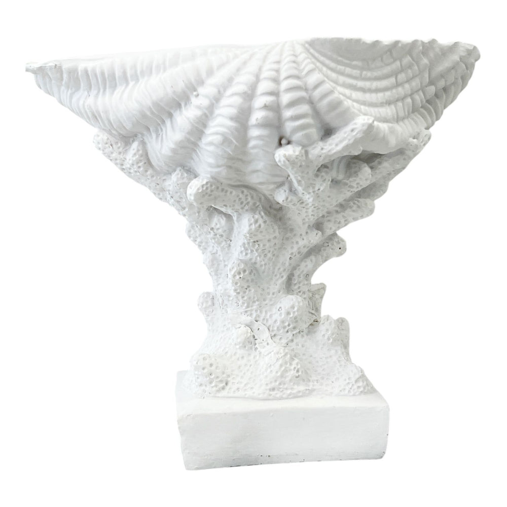 Adorno Concha Blanca