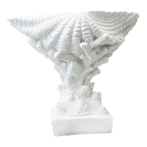 Adorno Concha Blanca