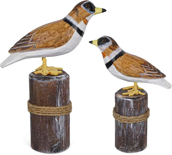 Set X2 Gaviotas