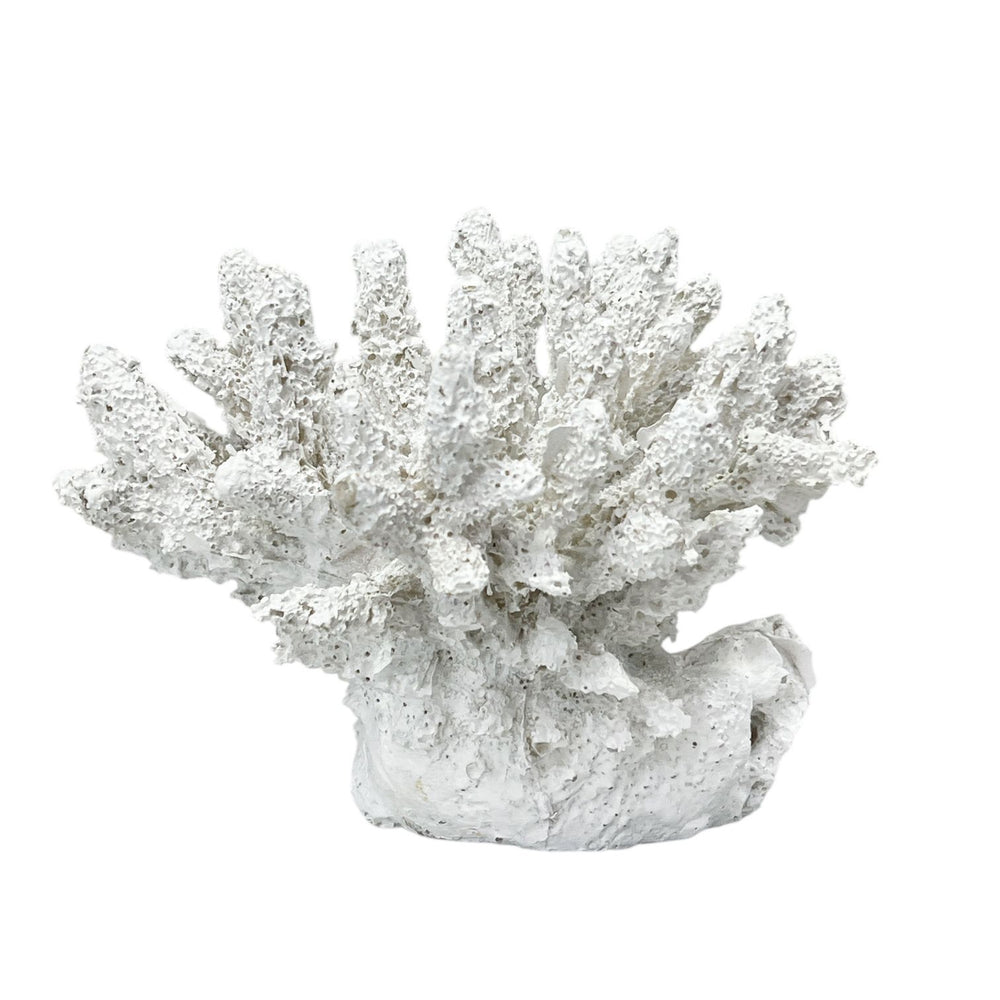 Adorno Coral Blanco.