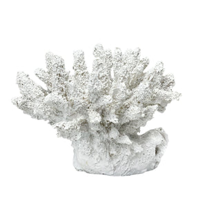 Adorno Coral Blanco.