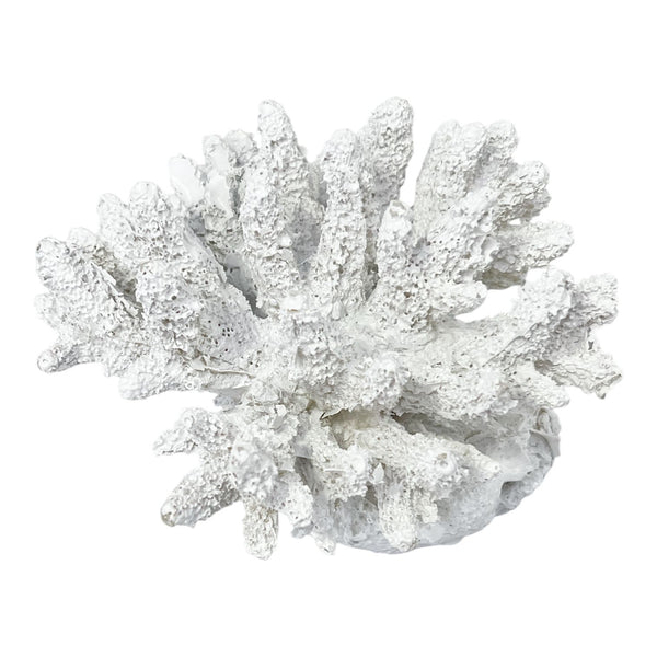 Adorno Coral Blanco.