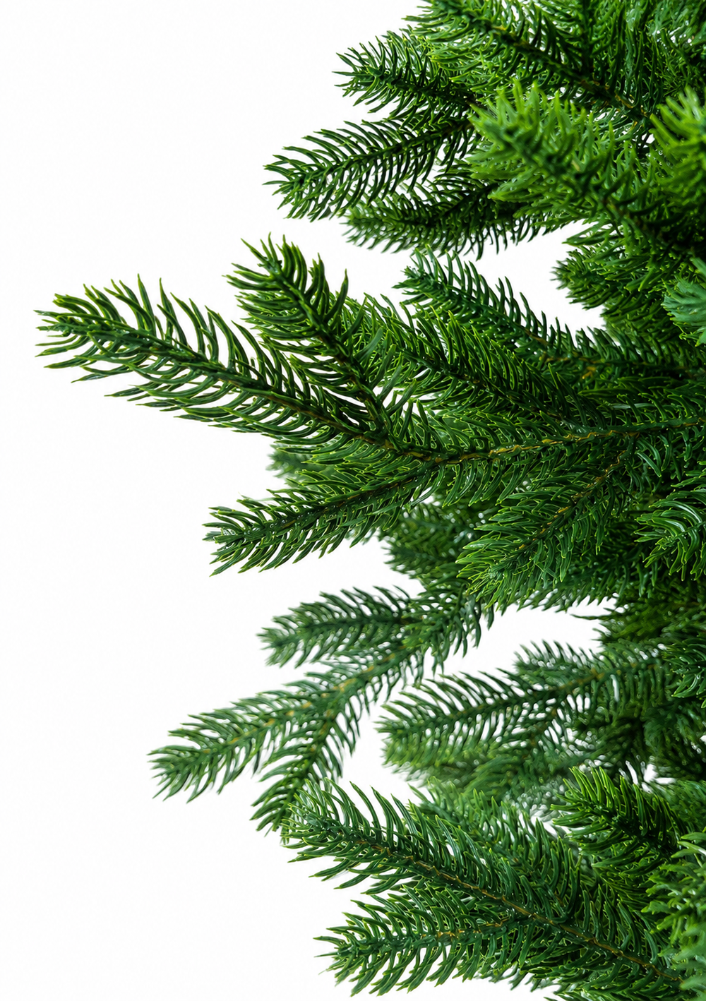 Árbol Pino Verde Clásico Frondoso 1.80m