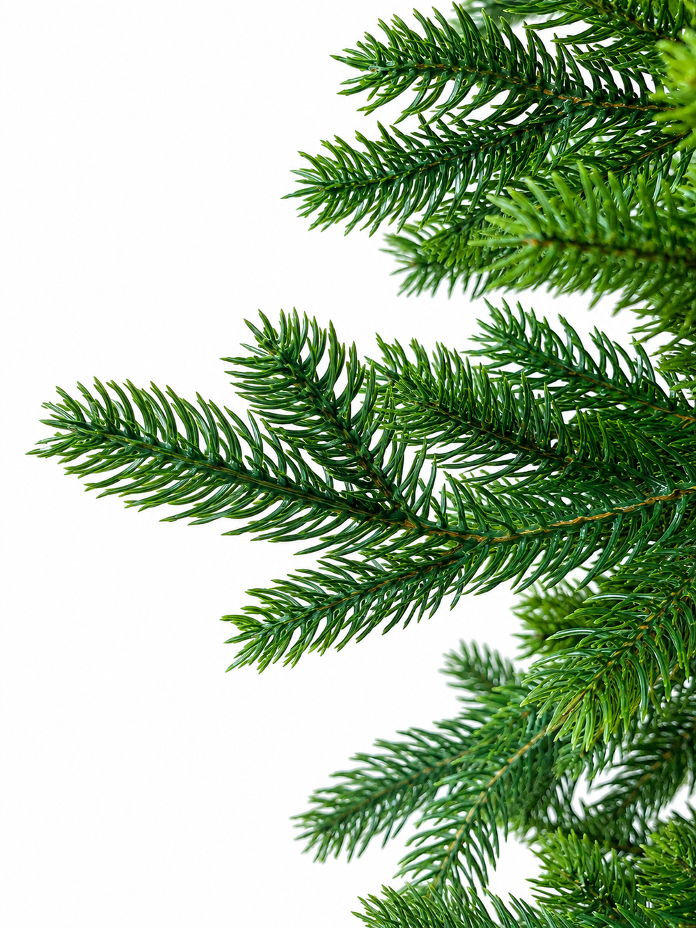 Árbol Pino Verde Clásico Frondoso 2.10m