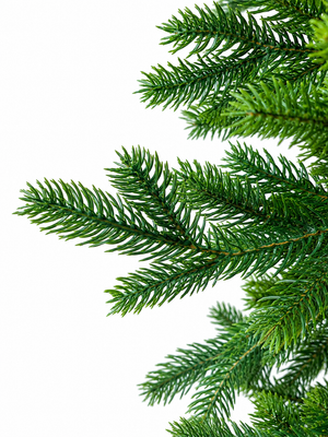 Árbol Pino Verde Clásico Frondoso 2.10m