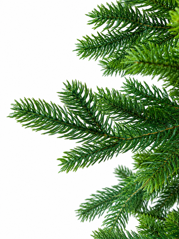 Árbol Pino Verde Clásico Frondoso 2.10m