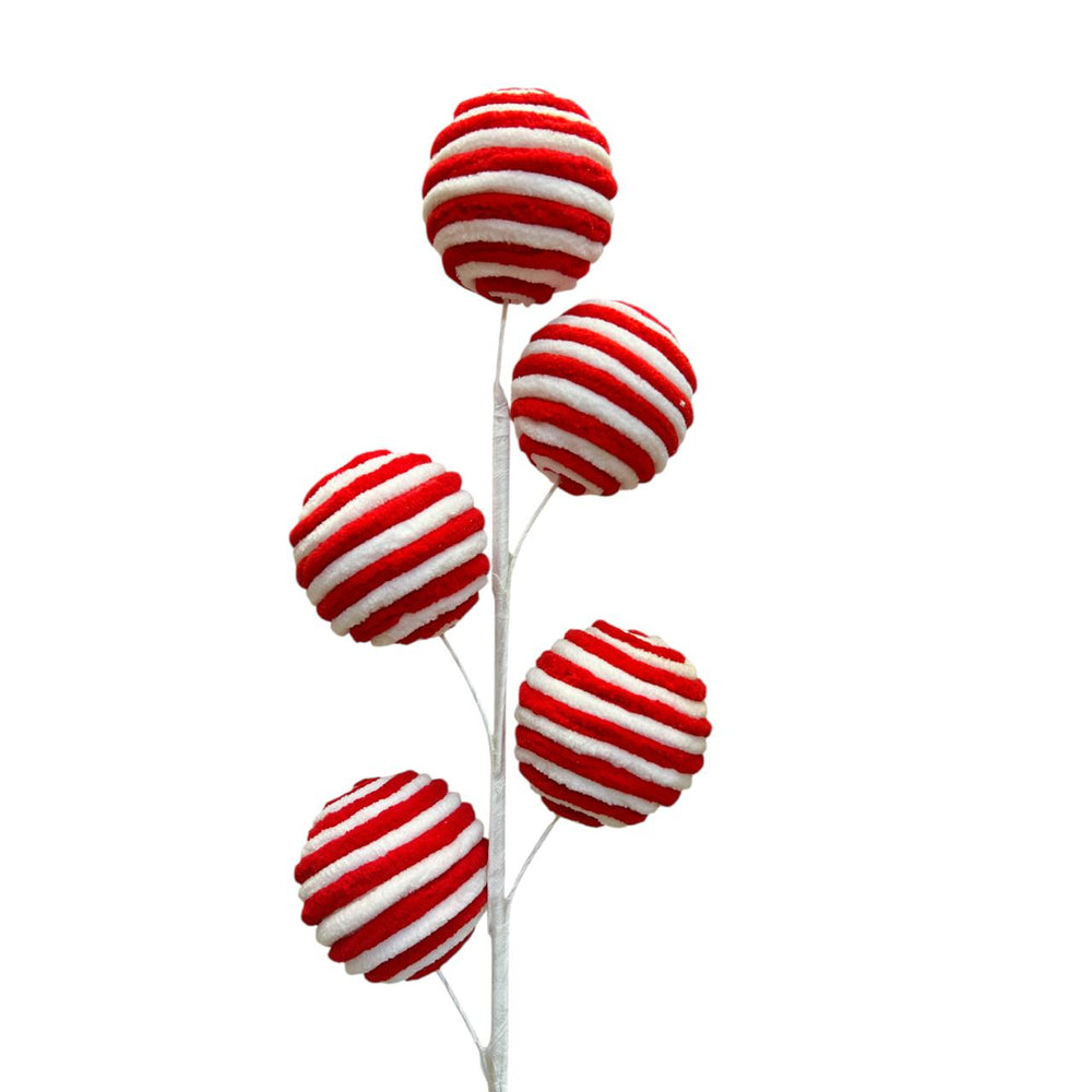 Espiga Bombo Rayado 60CM