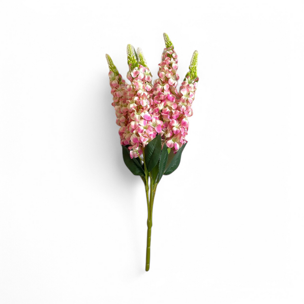 Flor Boca De Dragón Rosa