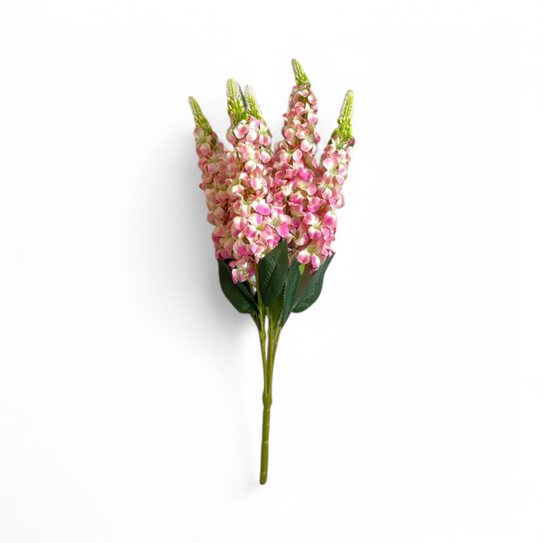 Flor Boca De Dragón Rosa