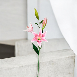 Rama de Lirio Rosa 45cm