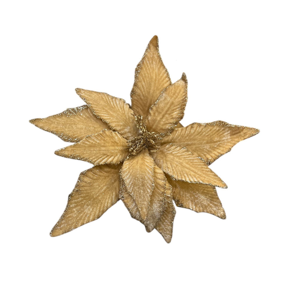 Flor de Terciopelo Mediana CHAMPAGNE 15CM.