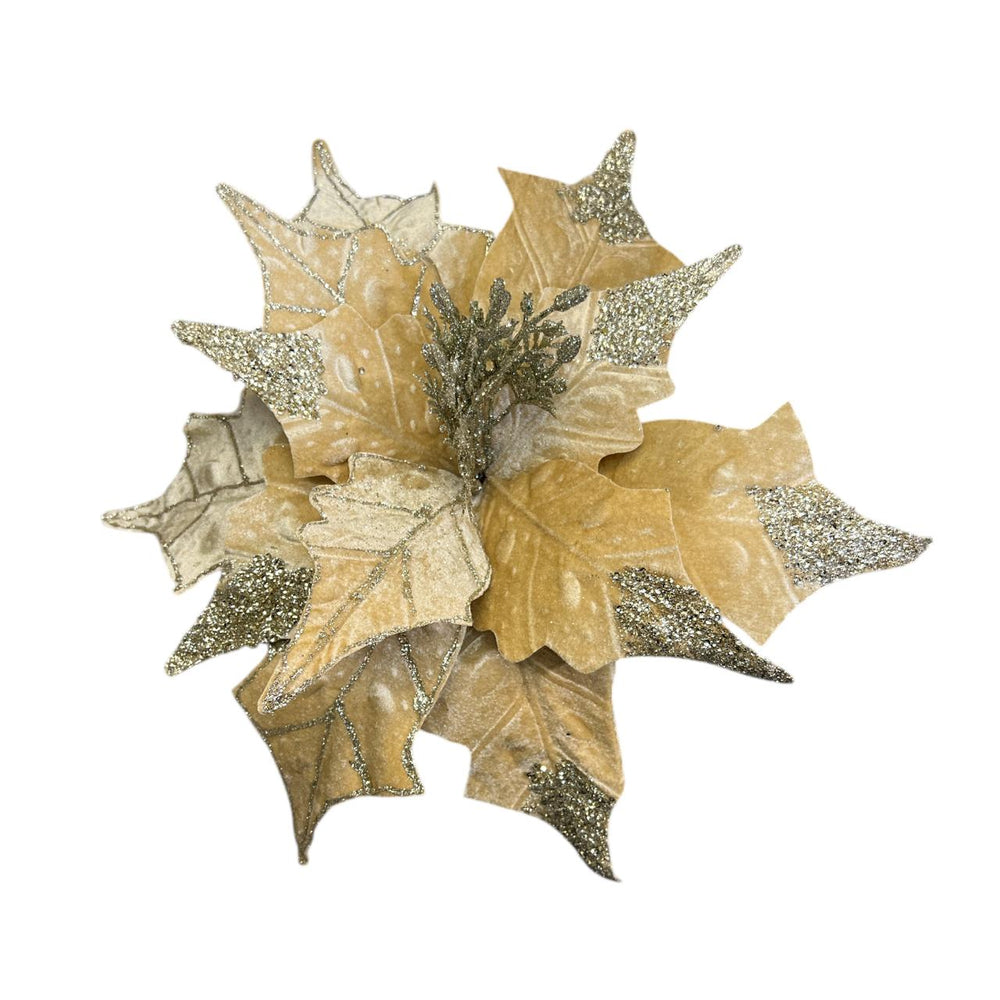 Flor de Terciopelo Larga con Escarcha CHAMPAGNE 50CM