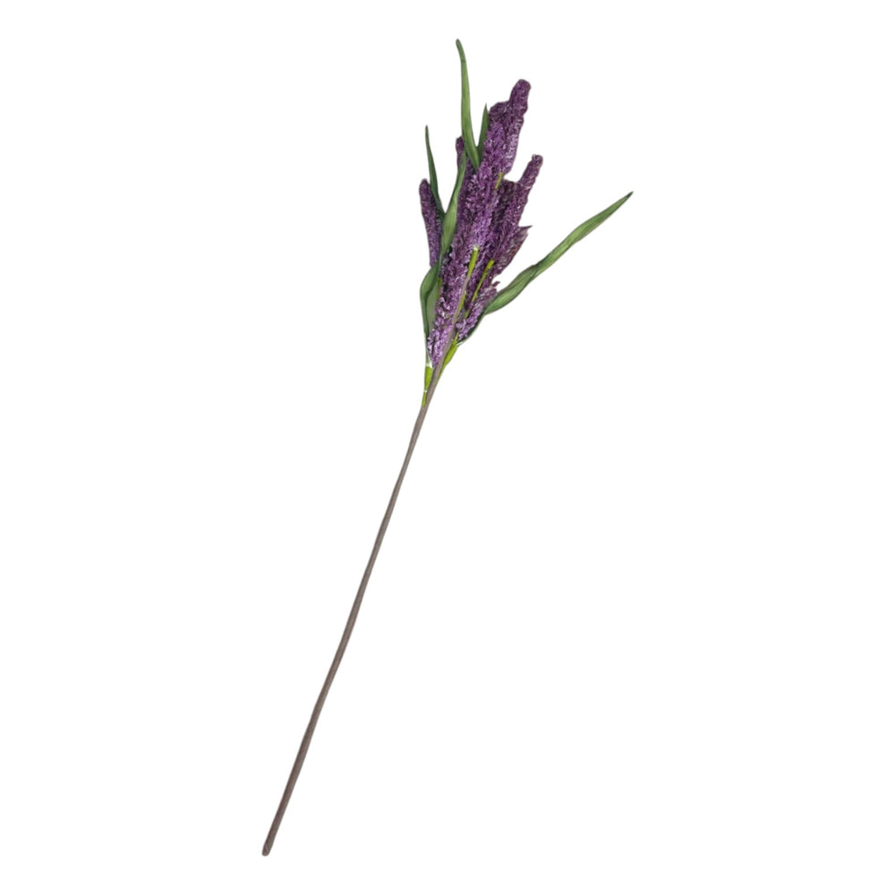 LAVANDULA