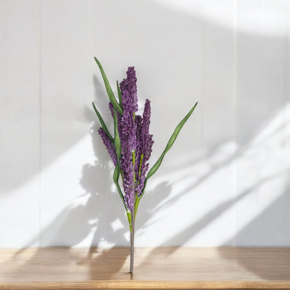 LAVANDULA