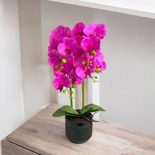 Orquídea