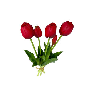Tulipán X5
