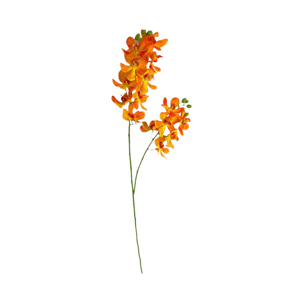 Orquídea Vara Naranja