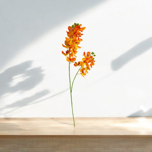 Orquídea Vara Naranja