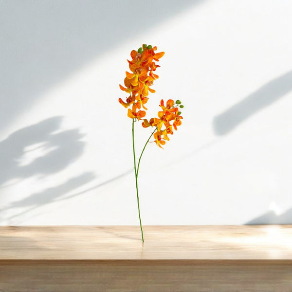 Orquídea Vara Naranja