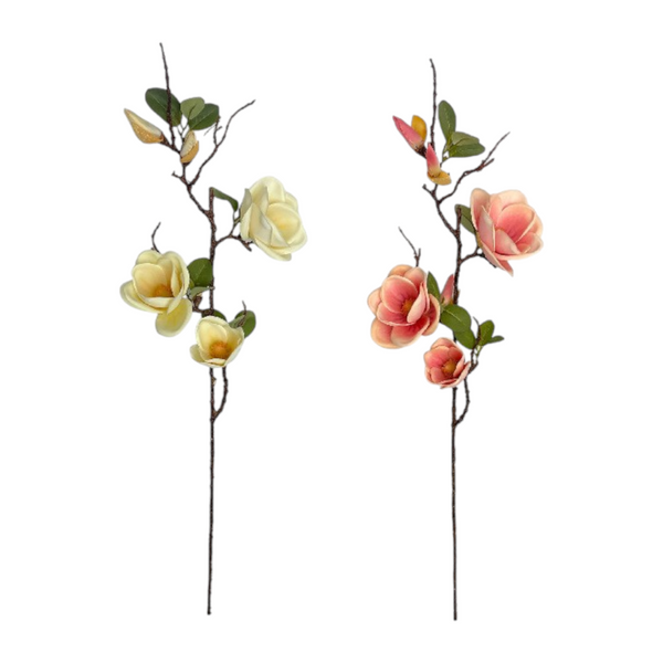 Rama MAGNOLIA Rosada