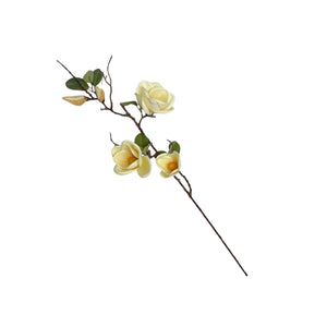 Rama MAGNOLIA Blanca