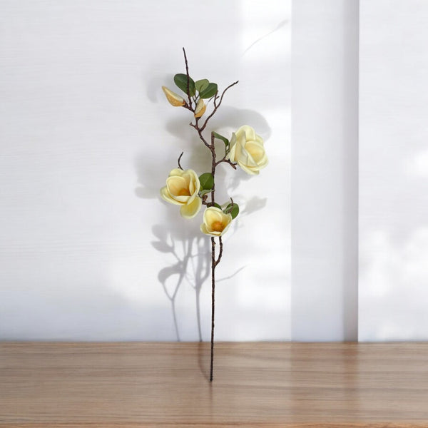 Rama MAGNOLIA Blanca