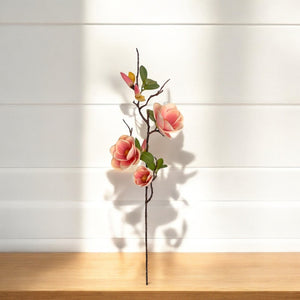 Rama MAGNOLIA Rosada