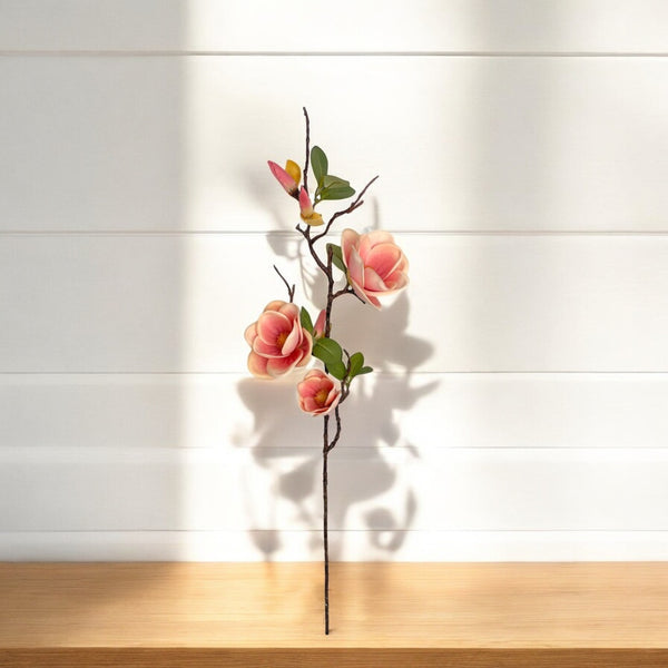 Rama MAGNOLIA Rosada