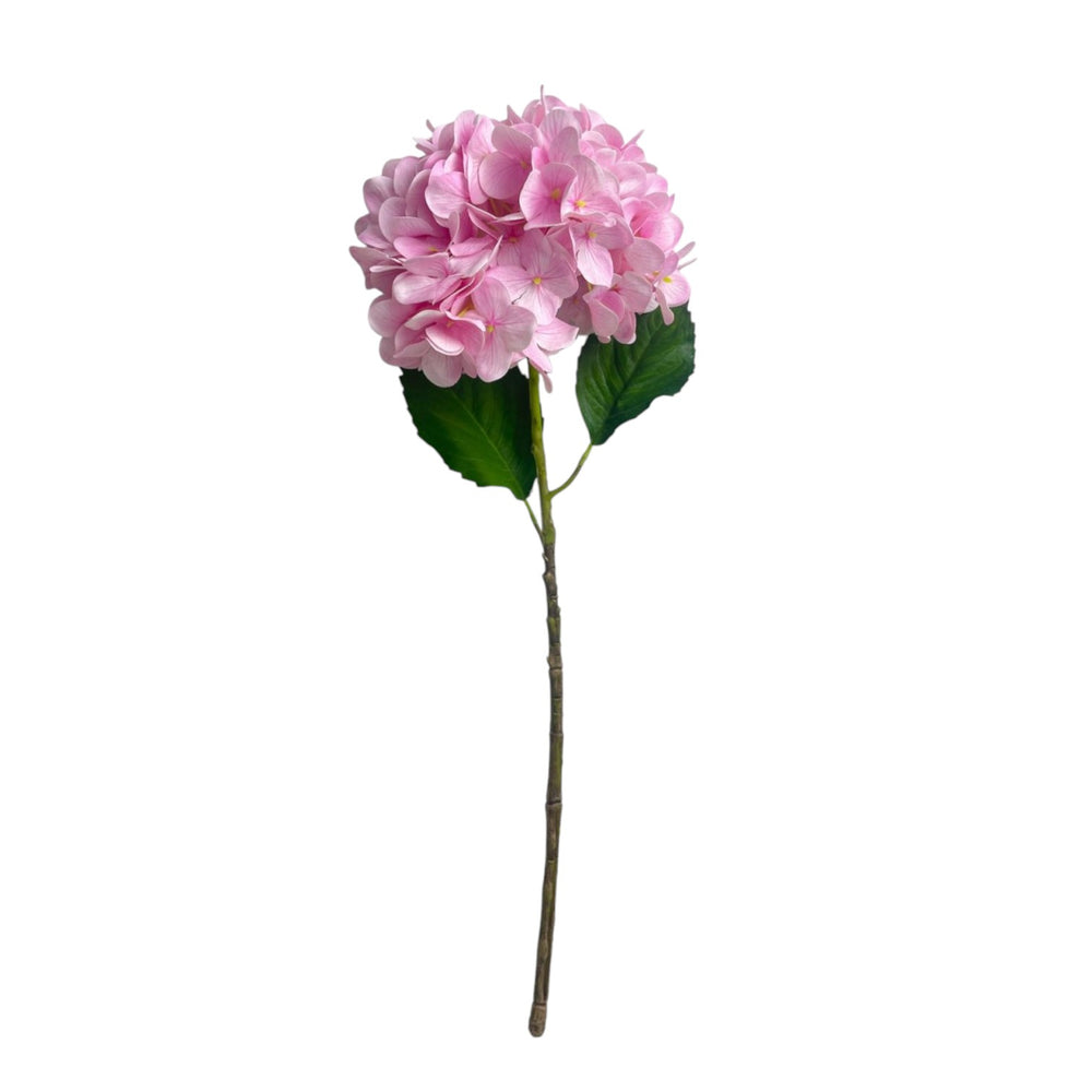 Rama HORTENSIA ROSA