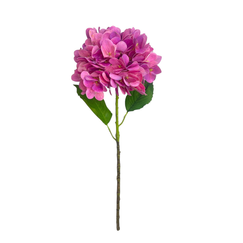 Rama HORTENSIA FUCSIA