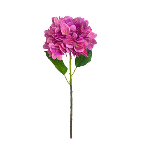 Rama HORTENSIA FUCSIA