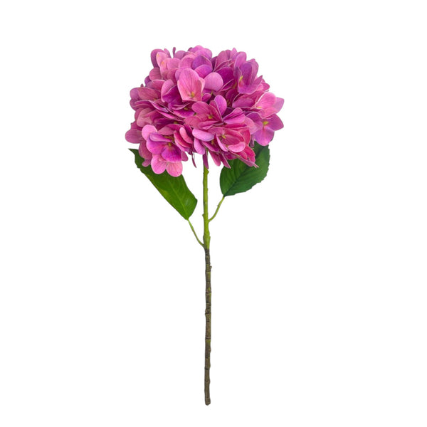 Rama HORTENSIA FUCSIA