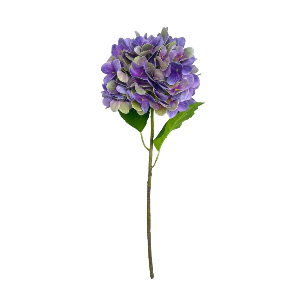 Rama HORTENSIA LILA