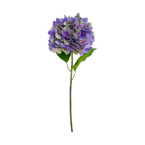 Rama HORTENSIA LILA