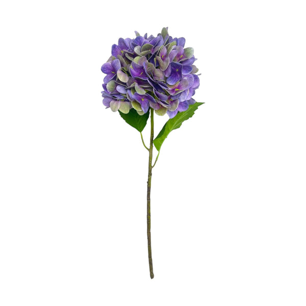 Rama HORTENSIA LILA