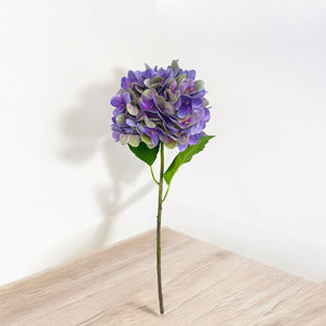 Rama HORTENSIA LILA