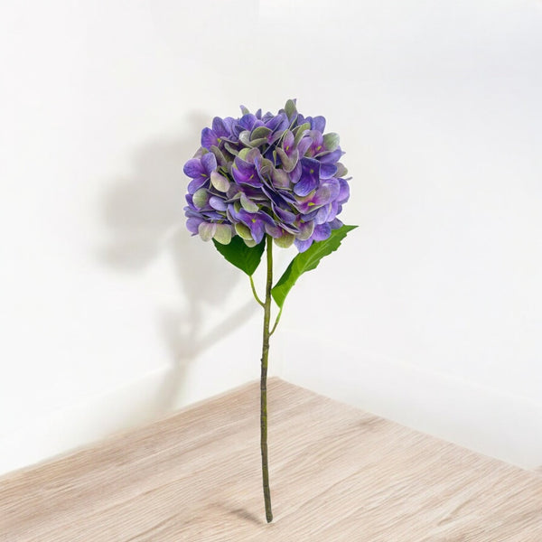 Rama HORTENSIA LILA