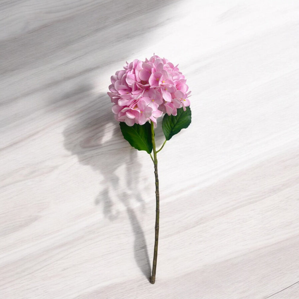 Rama HORTENSIA ROSA
