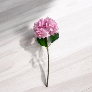Rama HORTENSIA ROSA