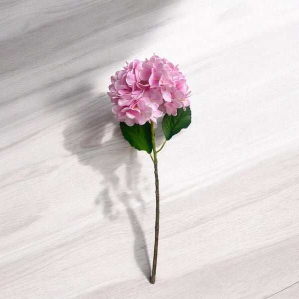 Rama HORTENSIA ROSA