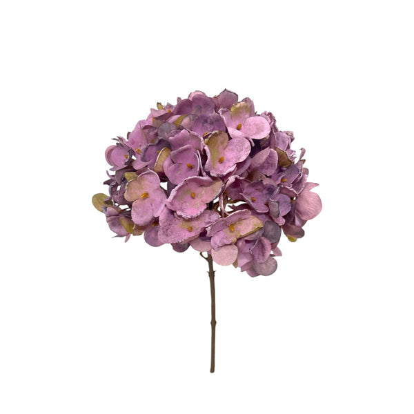 Rama HORTENSIA LILA Pequeña