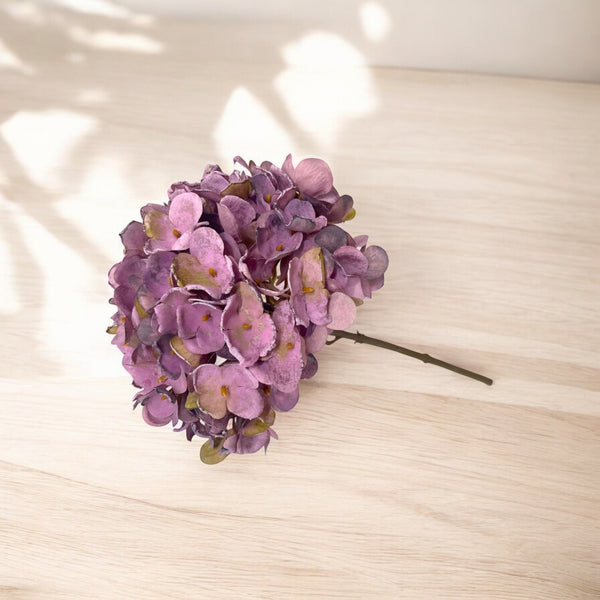 Rama HORTENSIA LILA Pequeña