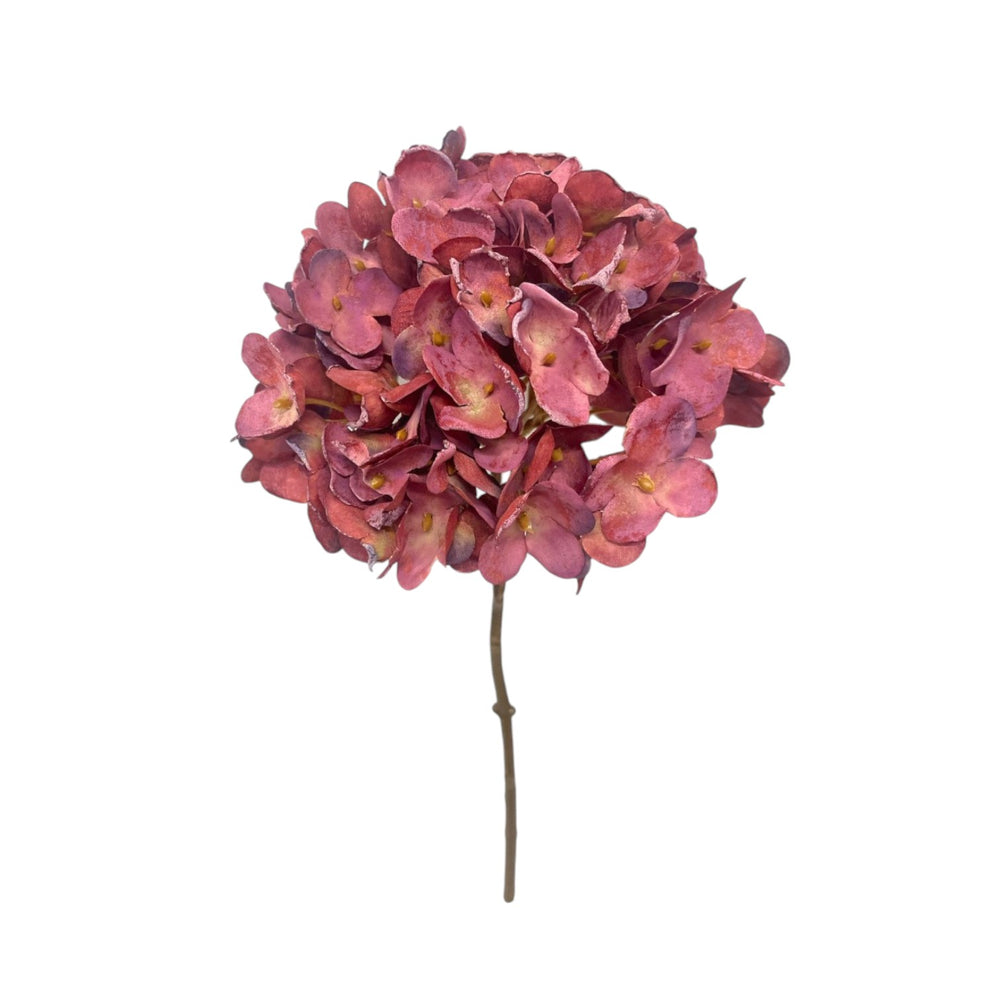 Rama HORTENSIA GUINDA Pequeña