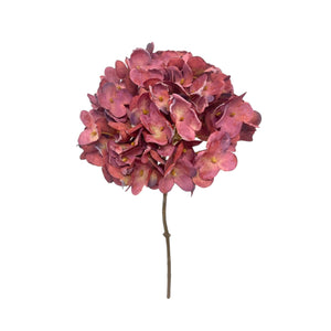 Rama HORTENSIA GUINDA Pequeña