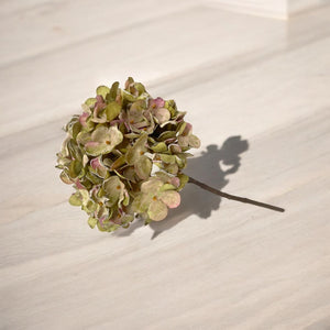 Rama HORTENSIA VERDE Pequeña