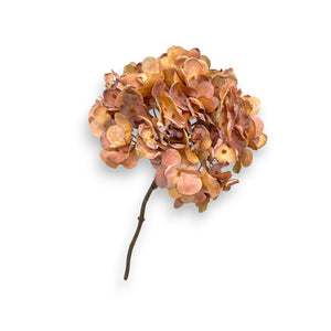 Rama HORTENSIA MELON Pequeña