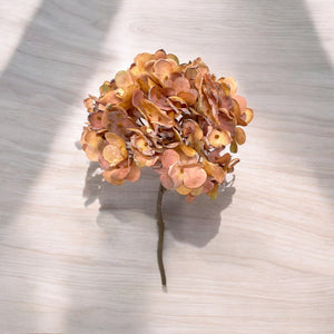 Rama HORTENSIA MELON Pequeña