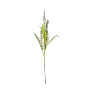 Rama VERONICA Artificial 59cm